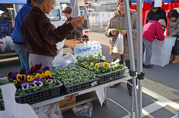 景品の花