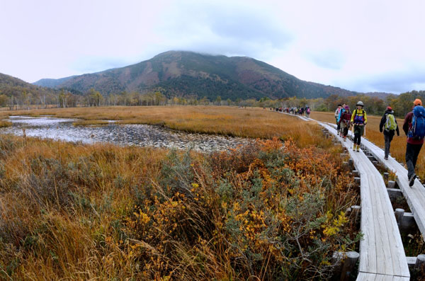 至仏山登山と紅葉の尾瀬ヶ原2 3 おいしい静岡茶の山一園