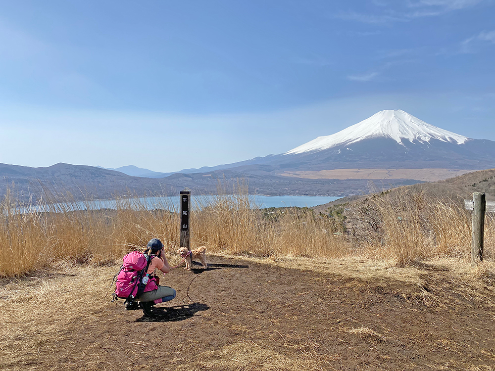 平尾山