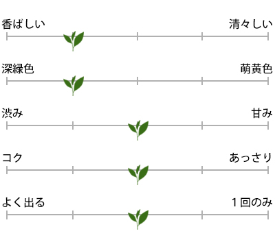 掛川・山東の深蒸し茶 100gのお茶の特徴