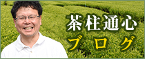 茶柱通心 | 静岡県の美味しいお茶通販の山一園のブログ