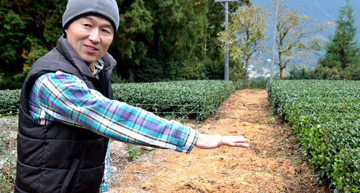 自然仕立て農園で農薬不使用のお茶栽培 小西さんとの対談