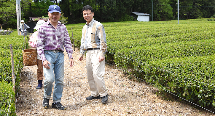 農薬不使用のお茶栽培 小西さんとの対談