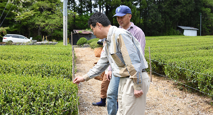 農薬不使用のお茶栽培 小西さんとの対談