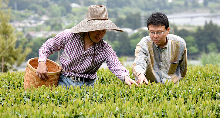 農薬不使用のお茶栽培 小西さんとの対談