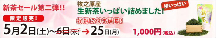 牧之原産 生新茶いっぱい詰めました!(1枡分相当)