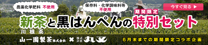 新茶と黒はんぺんの特別セット