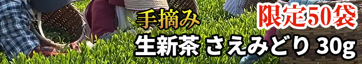 さえみどり 生新茶 30g